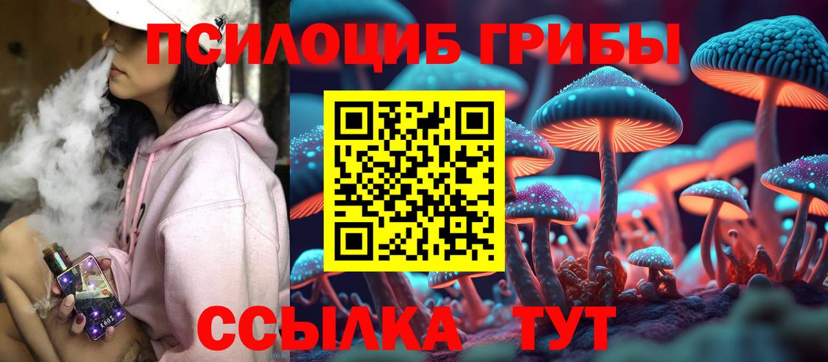 Псилоцибиновые грибы Psilocybe Полысаево